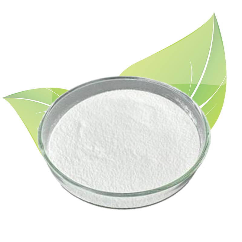 Microcrystalline Cellulose Supplier